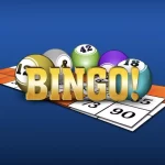 Elegir el sitio de bingo en línea correcto